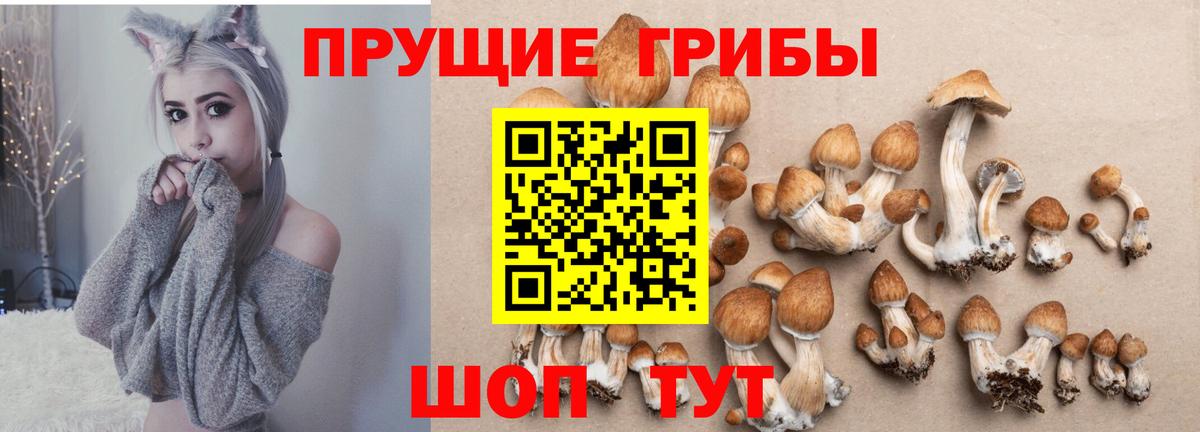 Псилоцибиновые грибы Magic Shrooms Белогорск