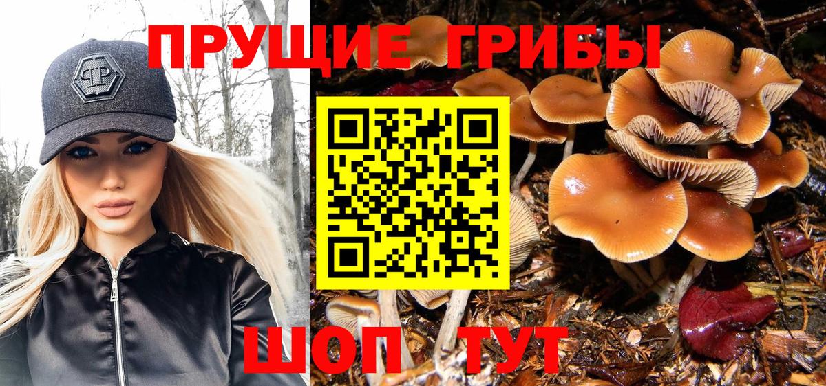 Галлюциногенные грибы GOLDEN TEACHER  Вход с VPN  даркнет сайт  Галлюциногенные грибы GOLDEN TEACHER  Белогорск 